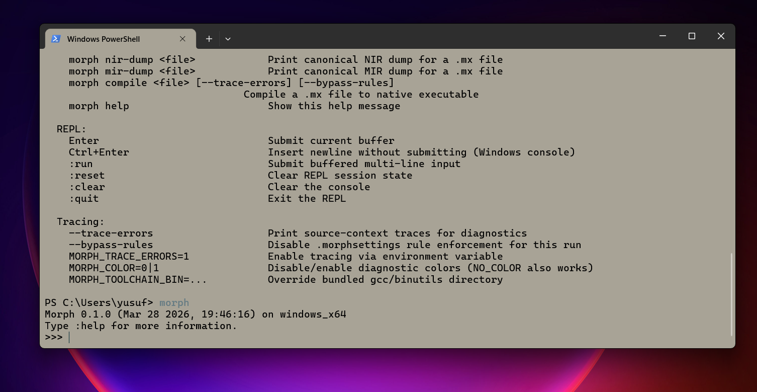 Placeholder - REPL startup screen
