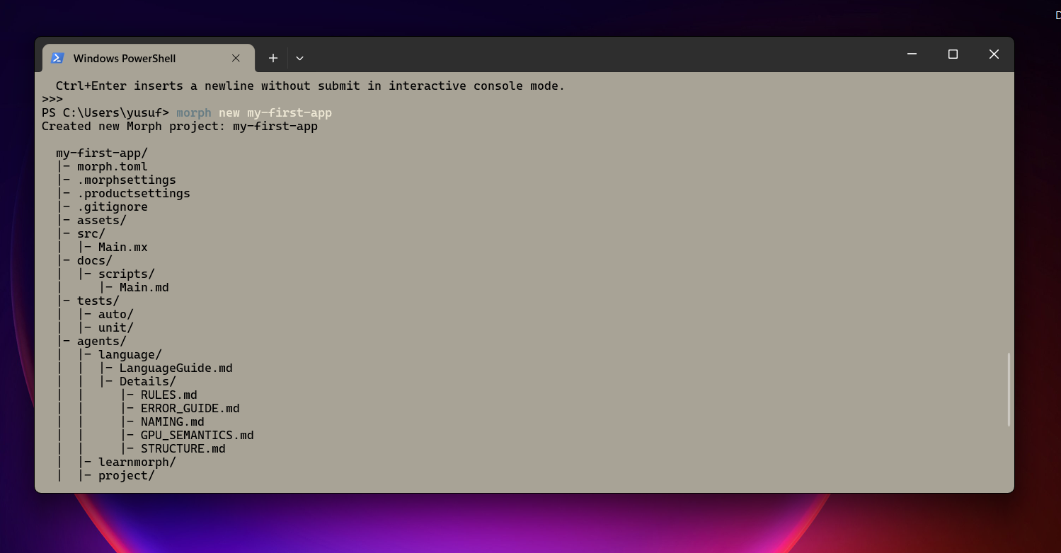 Placeholder - folder structure after morph new