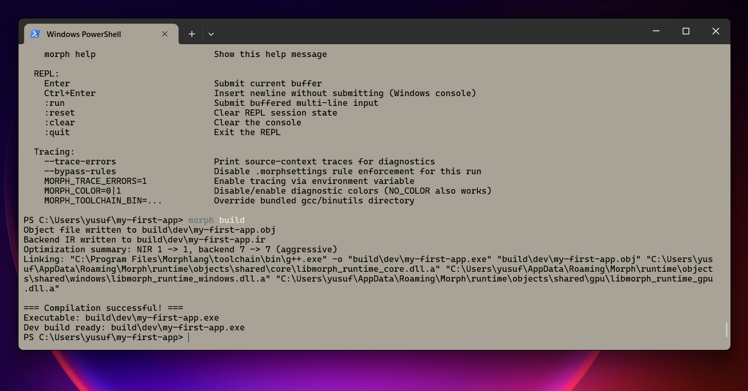 Placeholder - first build output