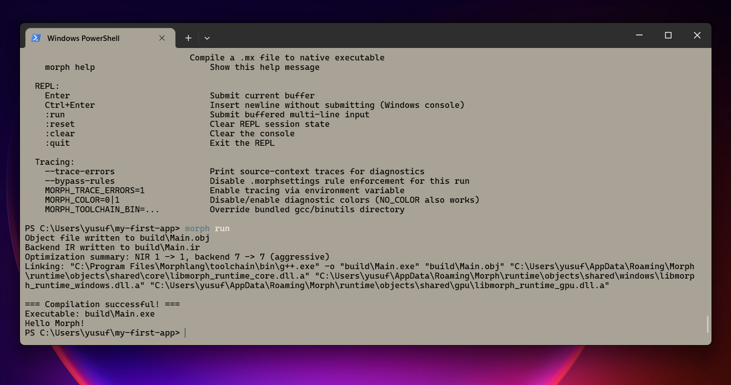 Placeholder - morph run output